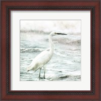 Framed Coastal Heron