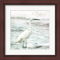 Framed Coastal Heron