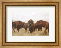 Framed Buffalo