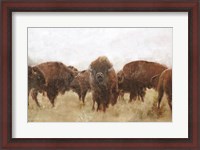 Framed Buffalo