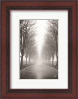 Framed Curious Road