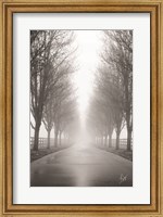 Framed Curious Road