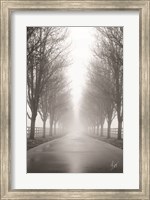 Framed Curious Road