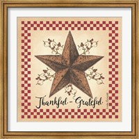 Framed Thankful Grateful Barnstar