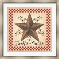 Framed Thankful Grateful Barnstar