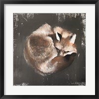 Framed Sleeping Fox No. 11