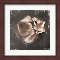 Framed Sleeping Fox No. 11