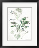 Framed Verbena Botanical