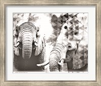 Framed Modern Black & White Elephants