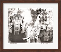 Framed Modern Black & White Elephants
