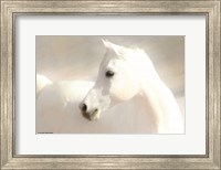 Framed White Arab II