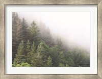 Framed Alaska Green Trees I