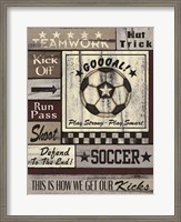 Framed Soccer Goal