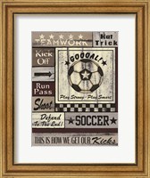 Framed Soccer Goal