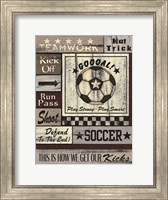 Framed Soccer Goal