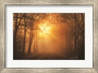 Framed Misty Sunrise