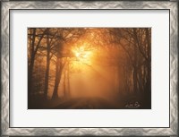 Framed Misty Sunrise