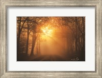 Framed Misty Sunrise