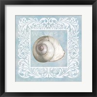 Framed 'Sandy Shells Blue on Blue Snail' border=