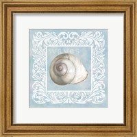 Framed Sandy Shells Blue on Blue Snail