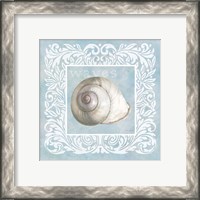 Framed Sandy Shells Blue on Blue Snail