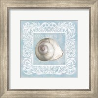 Framed Sandy Shells Blue on Blue Snail