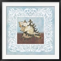 Framed Sandy Shells Blue Spikey