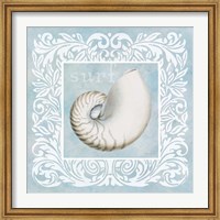 Framed Sandy Shells Blue on Blue Nautilus