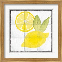 Framed Citrus Tile VI Black Border