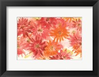 Framed Flowers Afield III