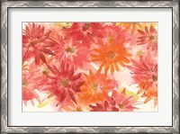 Framed Flowers Afield III