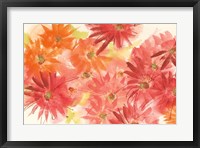 Framed Flowers Afield II