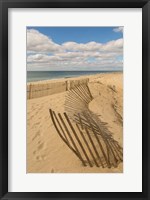 Framed Beach Dunes II