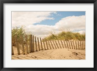 Framed Beach Dunes I