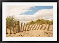 Framed Beach Dunes I