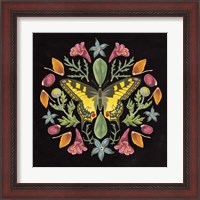 Framed 'Butterfly Mandala III Black' border=
