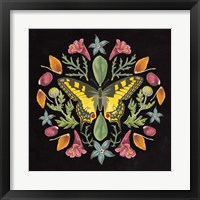 Framed 'Butterfly Mandala III Black' border=