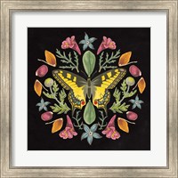 Framed Butterfly Mandala III Black