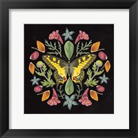 Butterfly Mandala III Black Framed Print