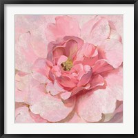 Framed Blushing Metallic Peony