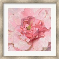 Framed Blushing Metallic Peony