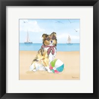 Framed 'Summer Paws V No Words' border=