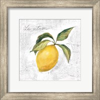 Framed Le Citron on White