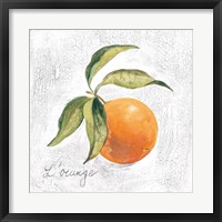 Framed L Orange on White