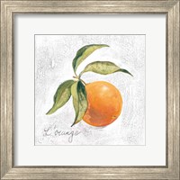 Framed L Orange on White