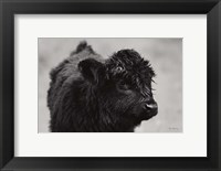 Framed Scottish Highland Cattle XI BW