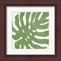 Framed Tropical Treasures I