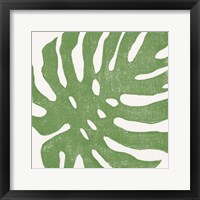 Tropical Treasures I Framed Print