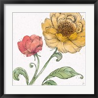 Framed Blossom Sketches III Color