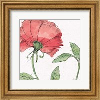 Framed Blossom Sketches IV Color